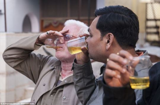Due indiani che praticano urinoterapia con l'urina di mucca.