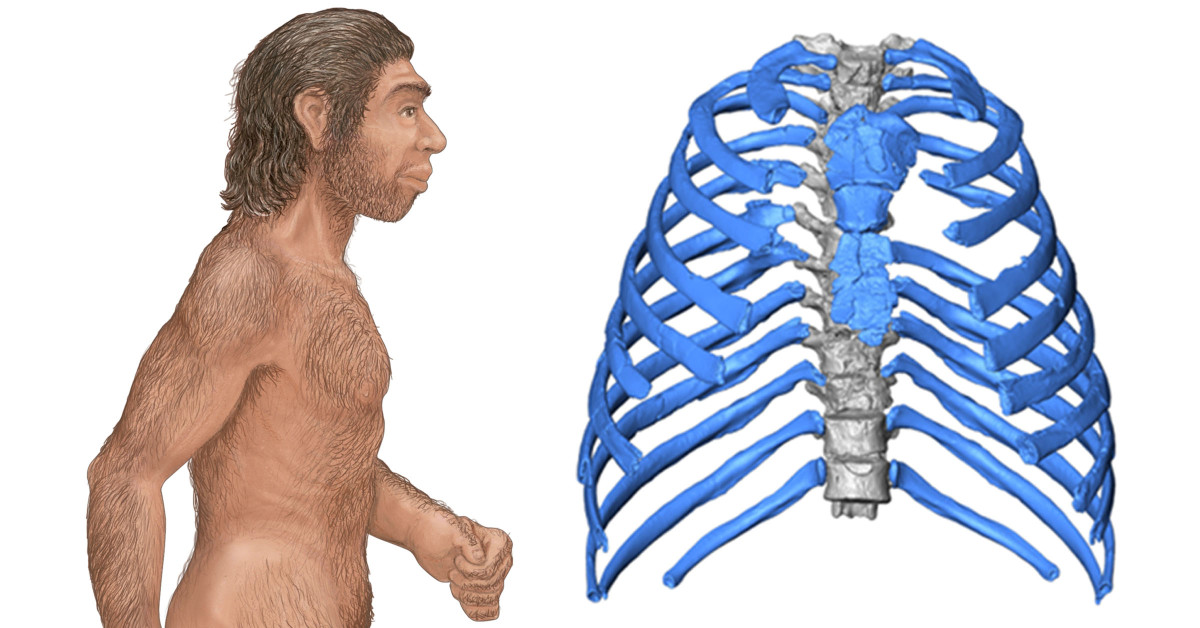 neanderthal-posture